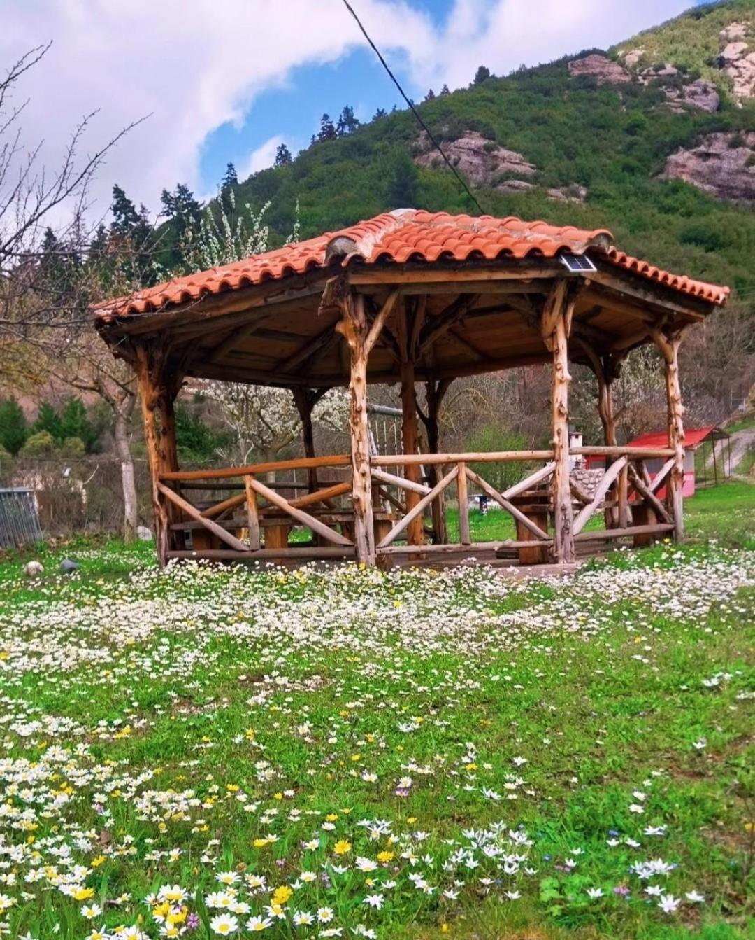 Michel Studios Kalavryta Extérieur photo